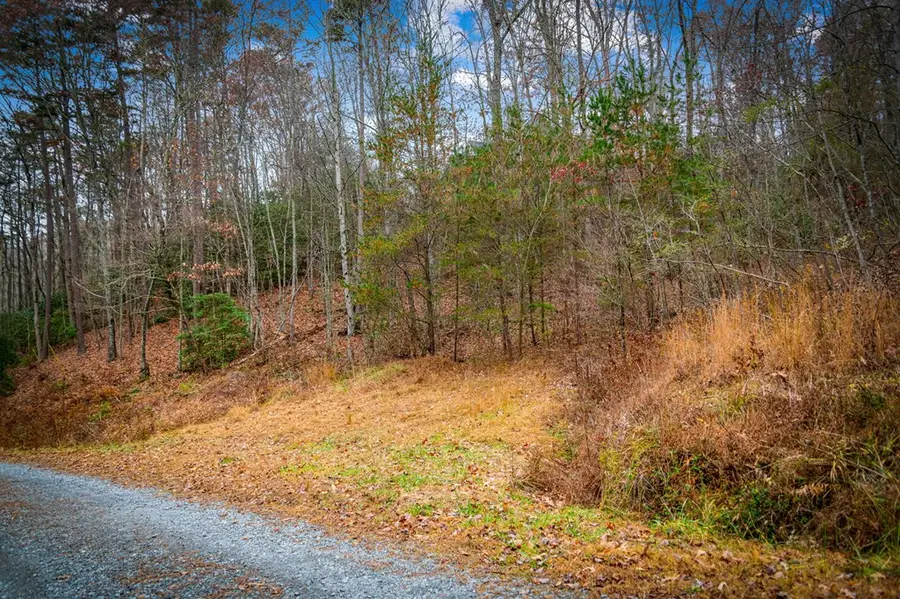 5.97 AC Bullen Gap Road, Blue Ridge, GA 30513 - #3