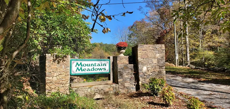 36 & 38 Squirrel Hunting, Ellijay, GA 30536 - #2