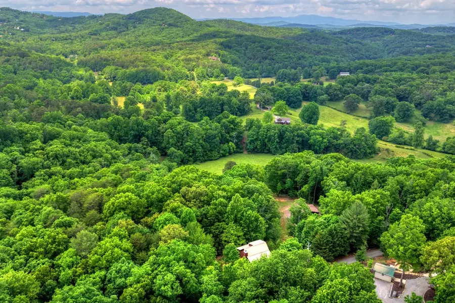 1178 Green Ridge Road, Blue Ridge, GA 30513 - #3