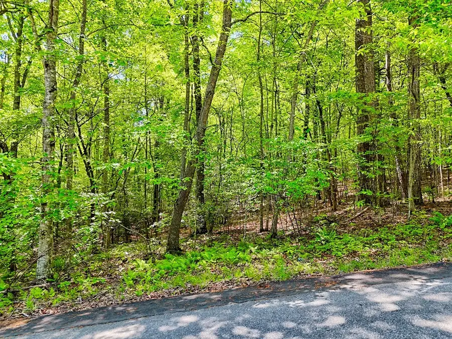 Lots 3&5 Cozy Cove Road, Blairsville, GA 30512 - #3