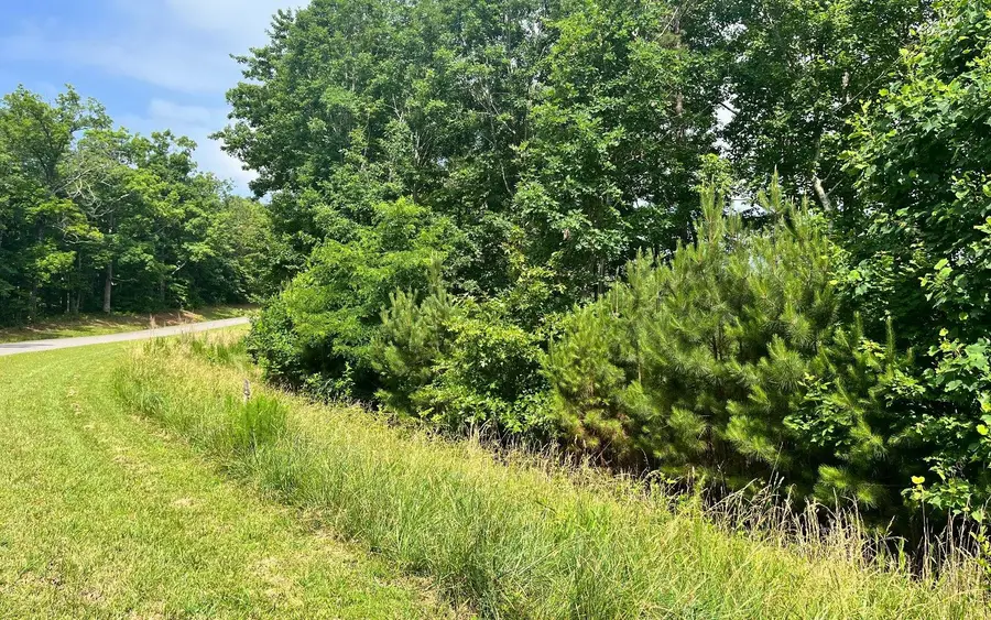 60 Thirteen Hundred, Blairsville, GA 30512 - #2