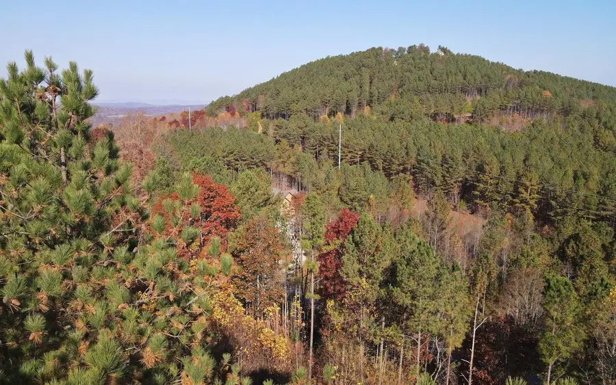 60 Thirteen Hundred, Blairsville, GA 30512 - #3