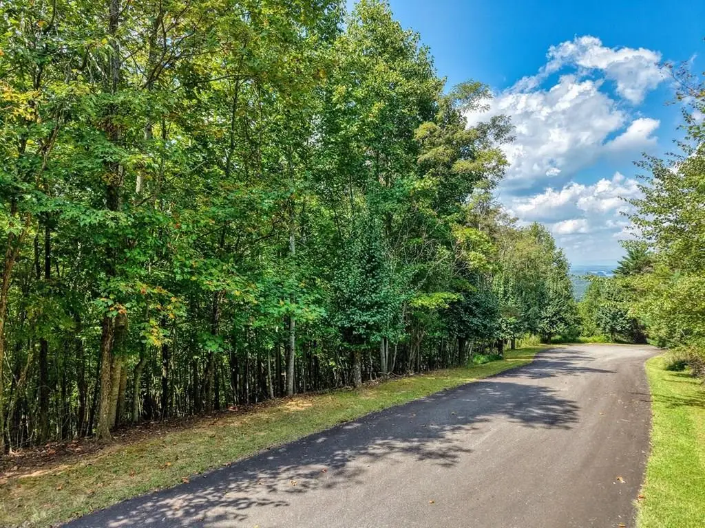 Lot 32 Westside Drive, Blairsville, GA 30512 - #1
