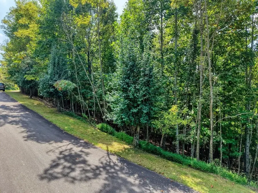 Lot 32 Westside Drive, Blairsville, GA 30512 - #3