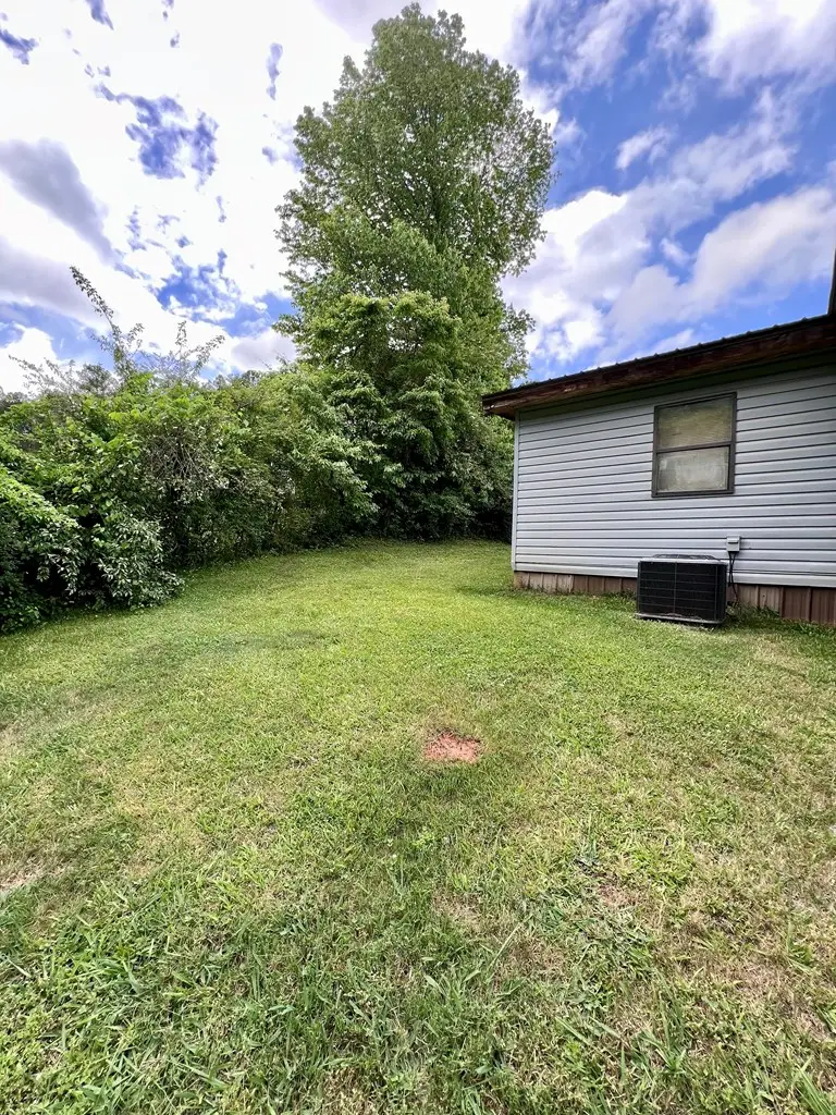 2018 Mineral Bluff Highway, Mineral Bluff, GA 30559 - #3