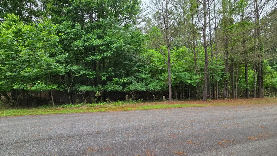 Lot 42 Loftis Mountain Way, Blairsville, GA 30512 - #3