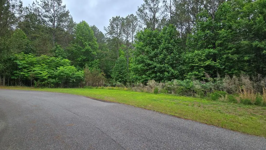 Lot 43 Loftis Mountain Way, Blairsville, GA 30512 - #1