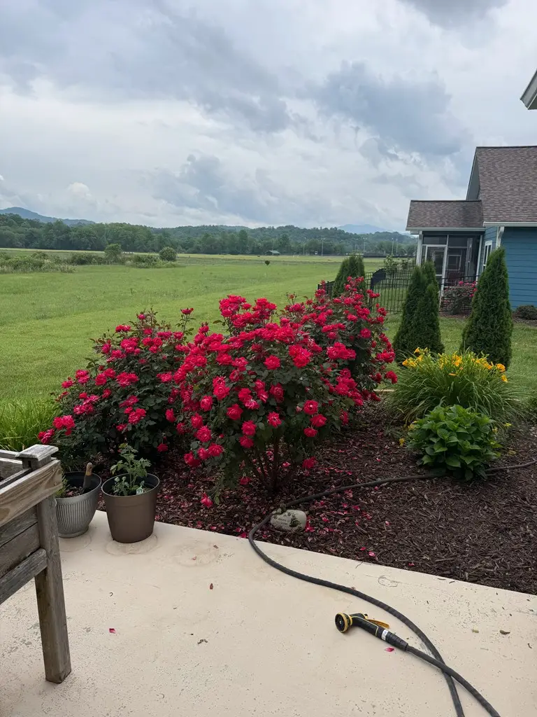 111 Riverwalk Circle, Hayesville, NC 28904 - #3