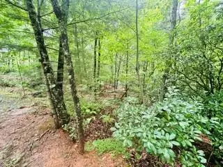 Lot 106 Pine Terrace Circle, Blue Ridge, GA 30513