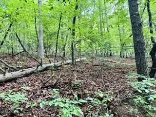 Lot 107 Pine Terrace Circle, Blue Ridge, GA 30513