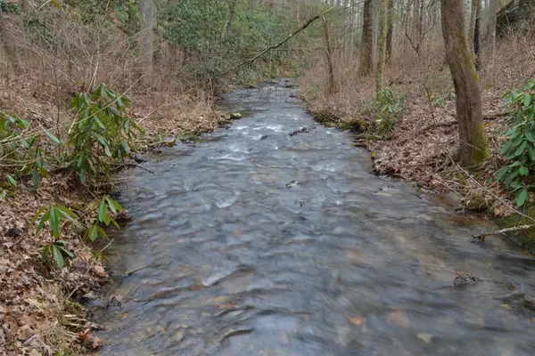 18 & 19 Sarvis Road, Hayesville, NC 28904