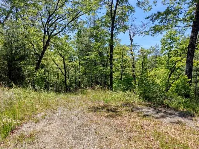 18 & 19 Sarvis Road, Hayesville, NC 28904 - #2