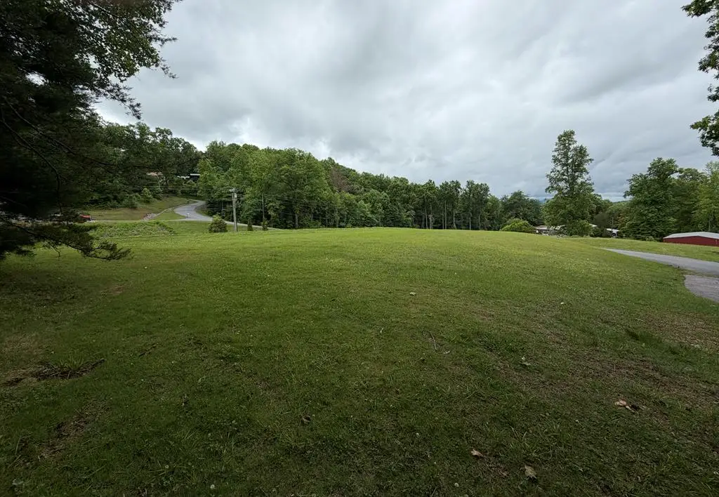 Lot 1 Drake Ridge Drive, Hayesville, NC 28904 - #1
