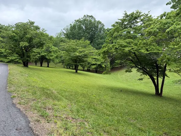 Lot 4 Drake Ridge Drive, Hayesville, NC 28904