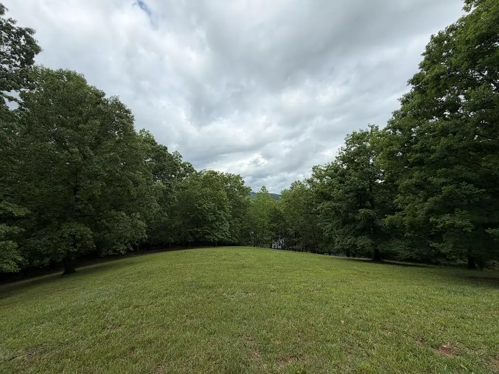 Lot 17 Drake Ridge Lane, Hayesville, NC 28904 - #1
