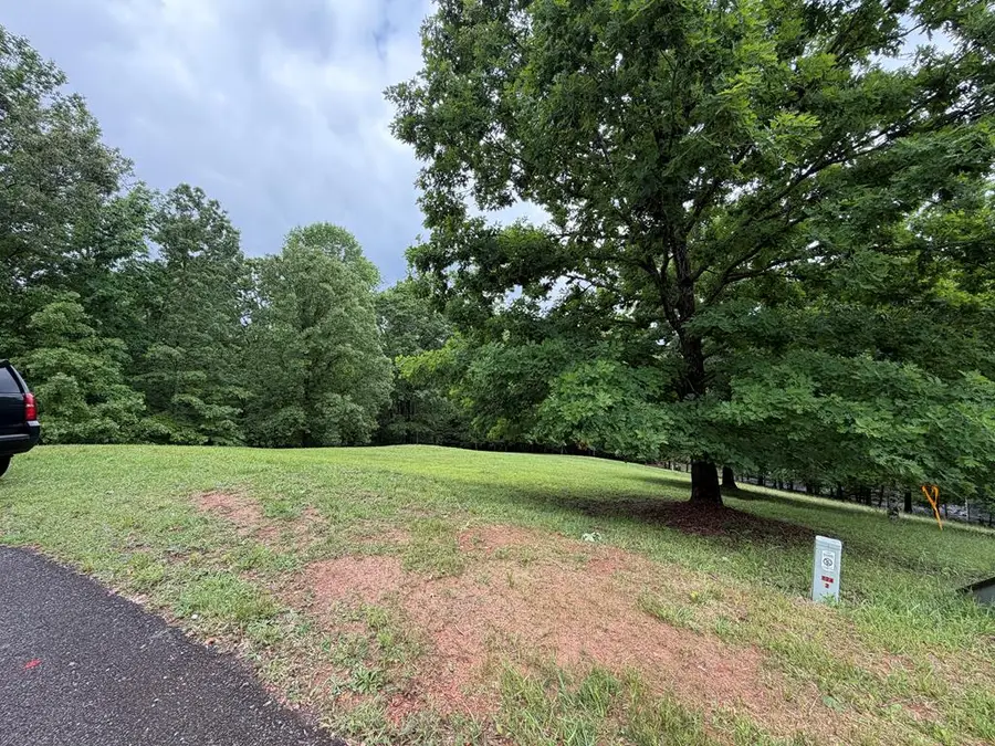 Lot 17 Drake Ridge Lane, Hayesville, NC 28904 - #3