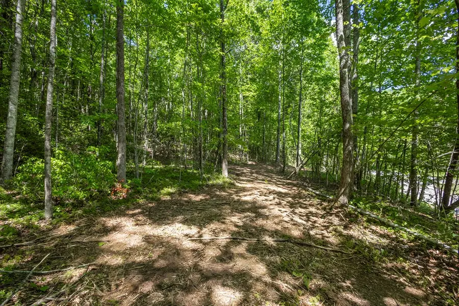 4.2 acre Donley Road, Murphy, NC 28906 - #3