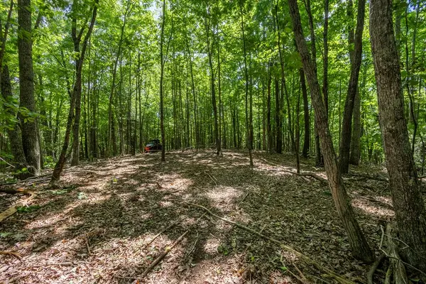 20 Ac Pack Mountain Road, Murphy, NC 28906