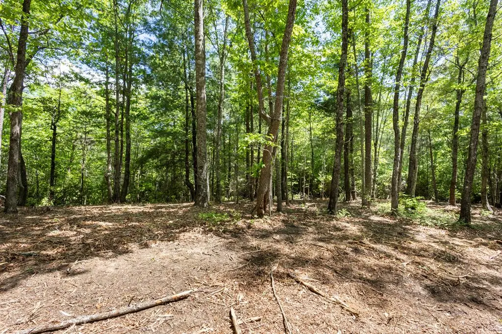 4.3 Ac Donley Road, Murphy, NC 28906 - #1