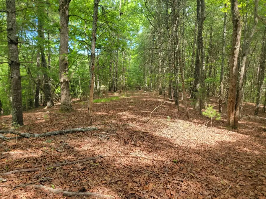 Lot 44 Sugar Maple Lane, Murphy, NC 28906 - #3
