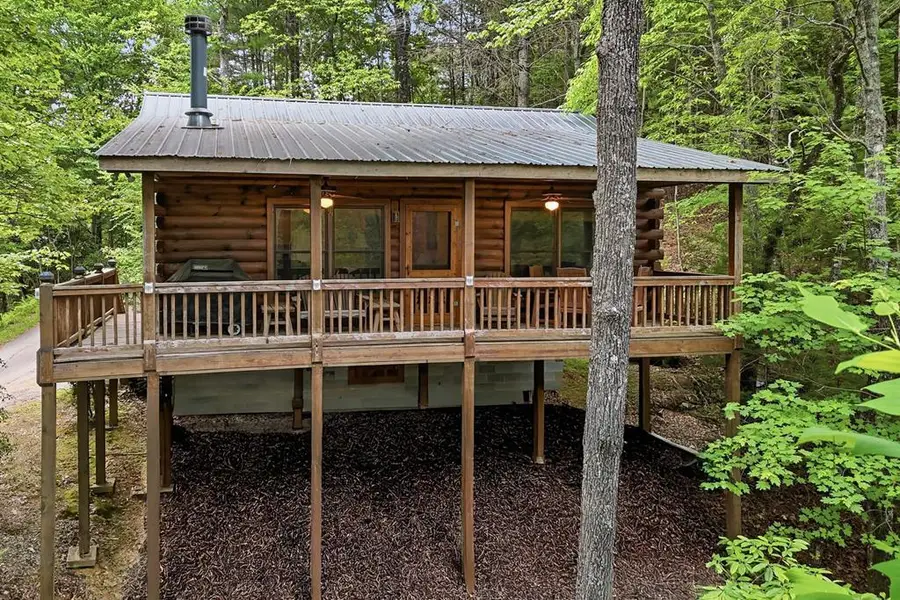 156 Dupont Drive, Blue Ridge, GA 30513 - #2