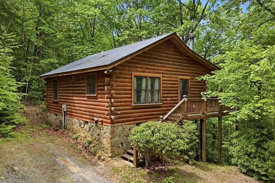 156 Dupont Drive, Blue Ridge, GA 30513 - #3