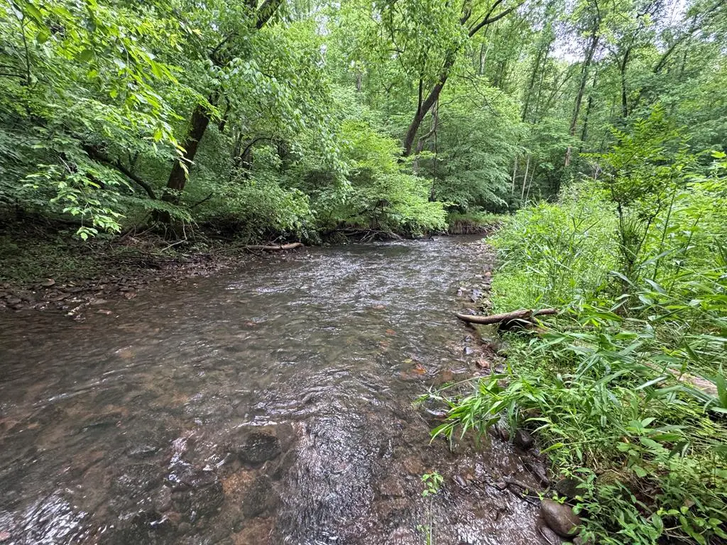00 Green Acorn Lane, Murphy, NC 28906 - #1