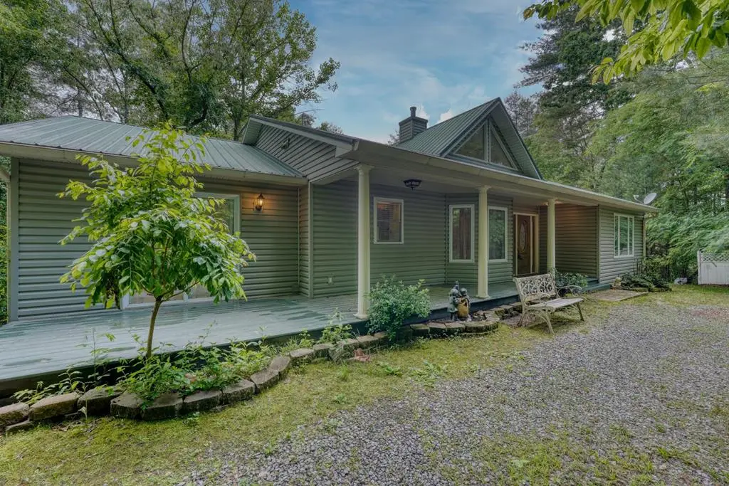 61 Amelia Lane, Blue Ridge, GA 30513 - #1
