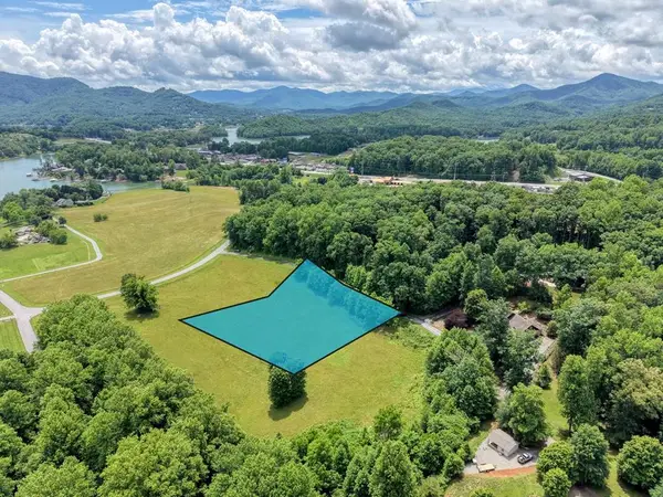 1404 Holly Point Drive, Hiawassee, GA 30546