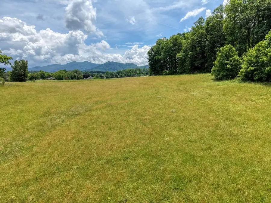 1404 Holly Point Drive, Hiawassee, GA 30546 - #2