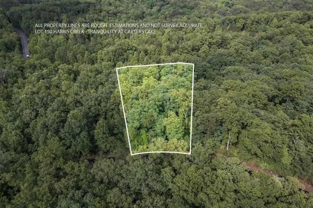 Lot 150 Tranquility @ Carters Lake, Ellijay, GA 30540 - #1