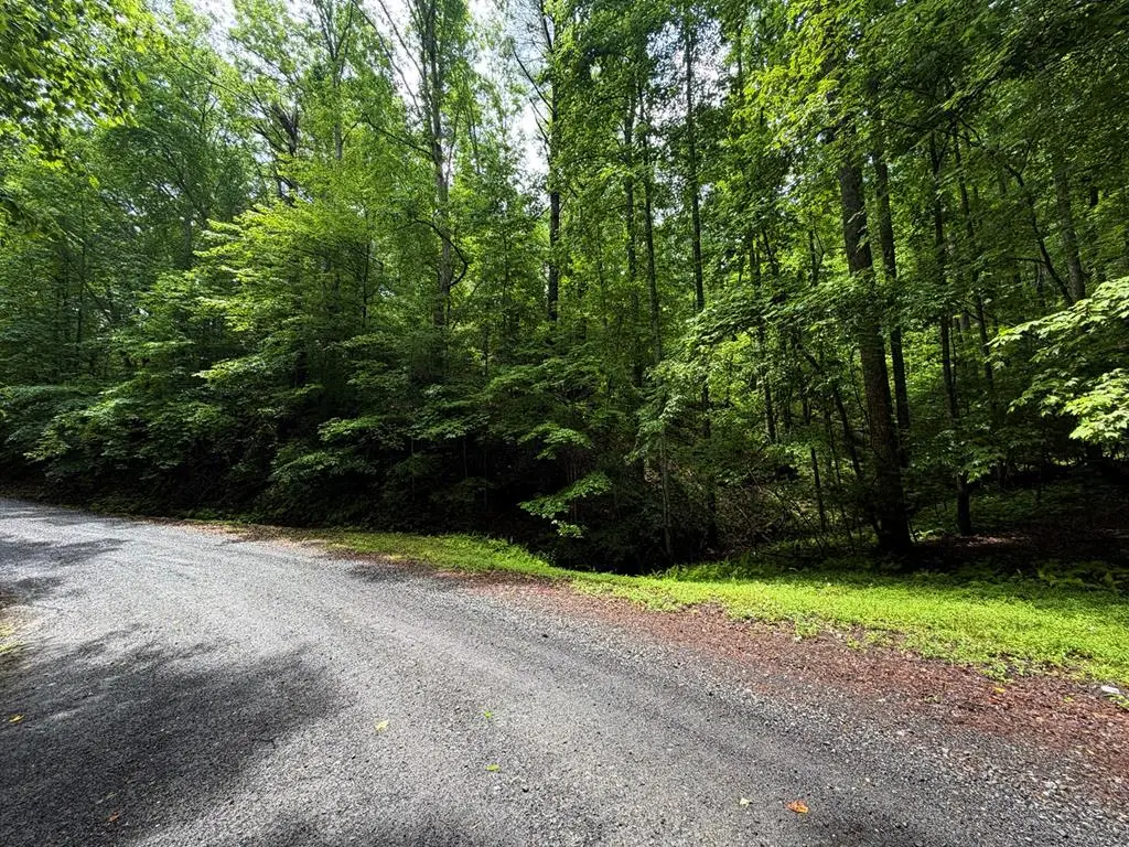 LT 144 Alcan Way, Carters Lake, GA 30450 - #1