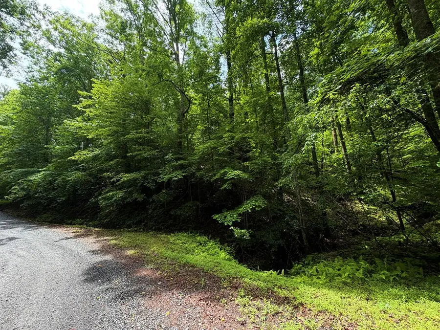 LT 144 Alcan Way, Carters Lake, GA 30450 - #2