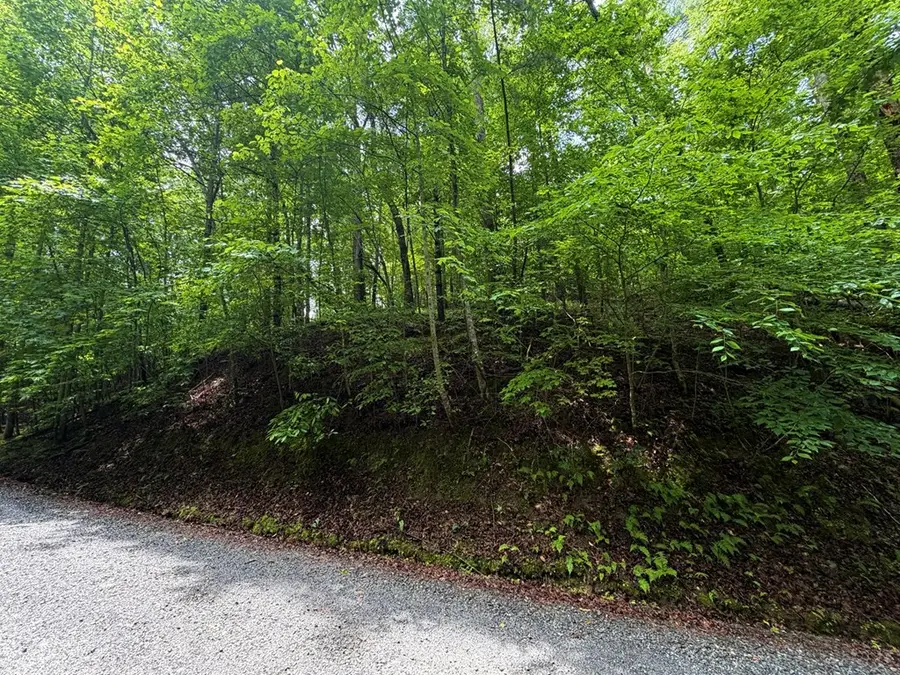 LT 144 Alcan Way, Carters Lake, GA 30450 - #3