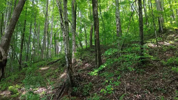 115 Calvender Road, Turtletown, TN 37391