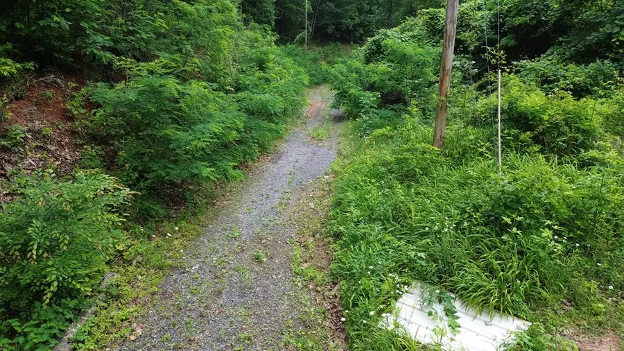 115 Calvender Road, Turtletown, TN 37391 - #3