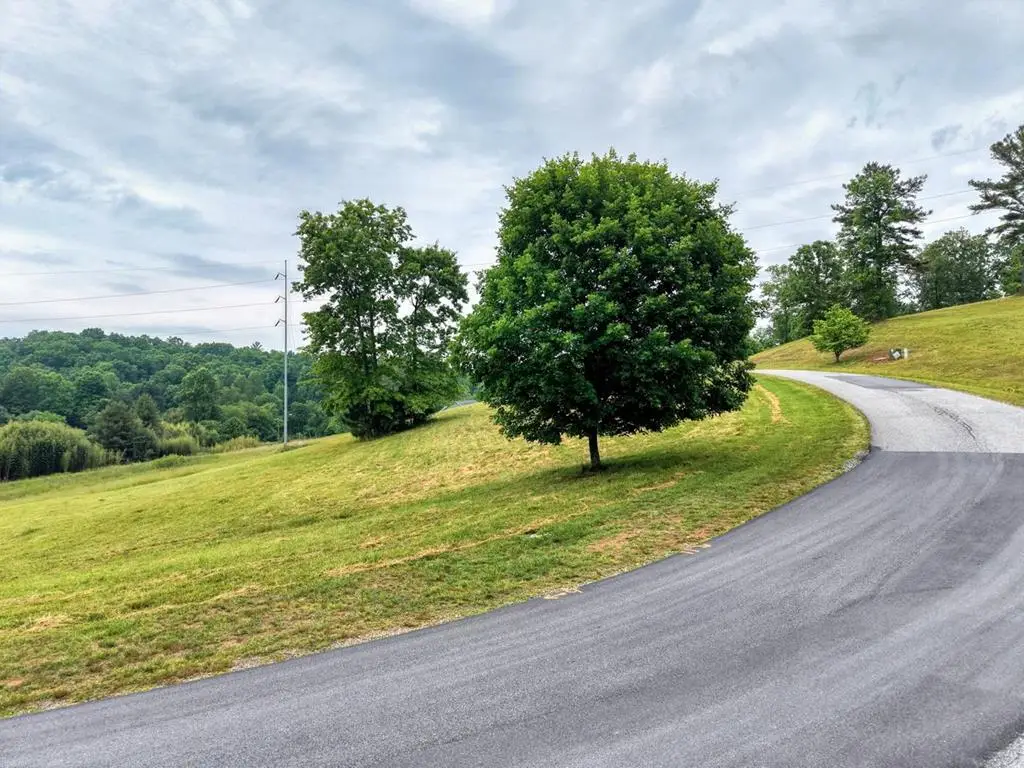 lot 18 Riverside Lk Nottely, Blairsville, GA 30512 - #1
