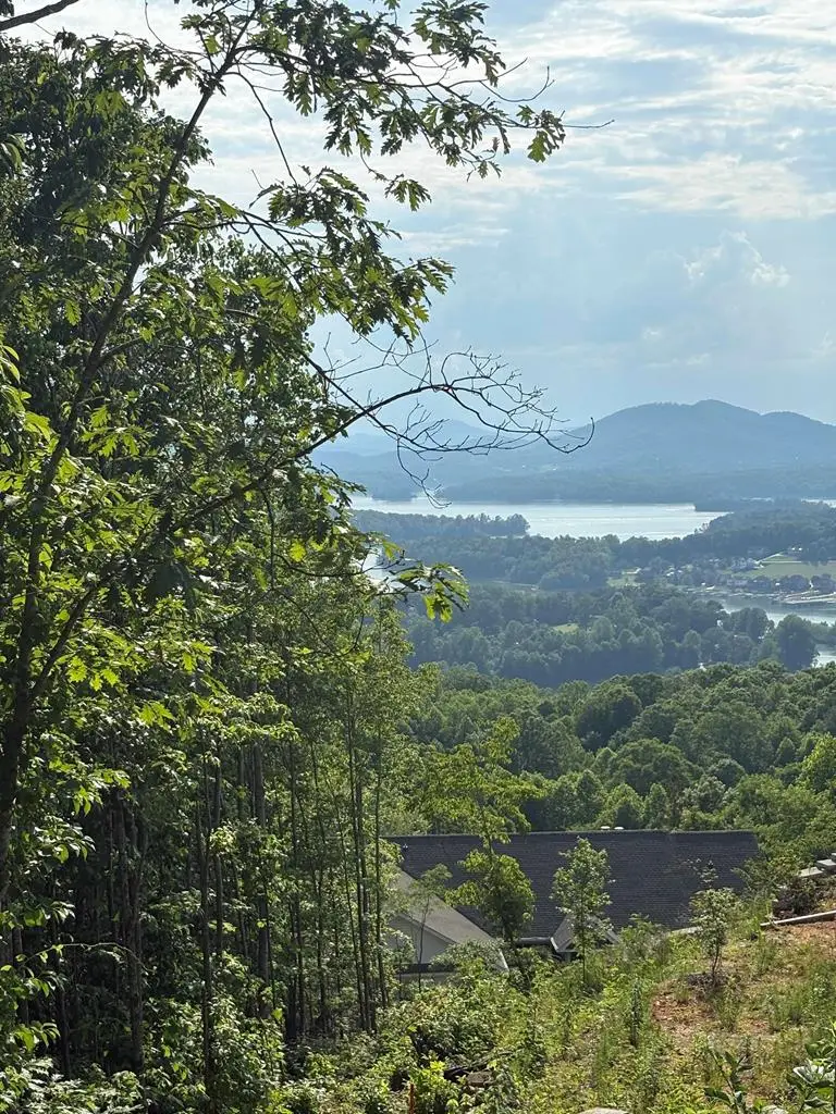 Lot 46 Dan Knob (lot), Hayesville, NC 28904 - #1