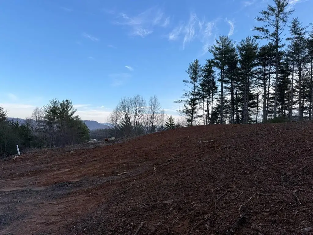 27 Lot Laurel Lane, Nantahala, NC 28781 - #1