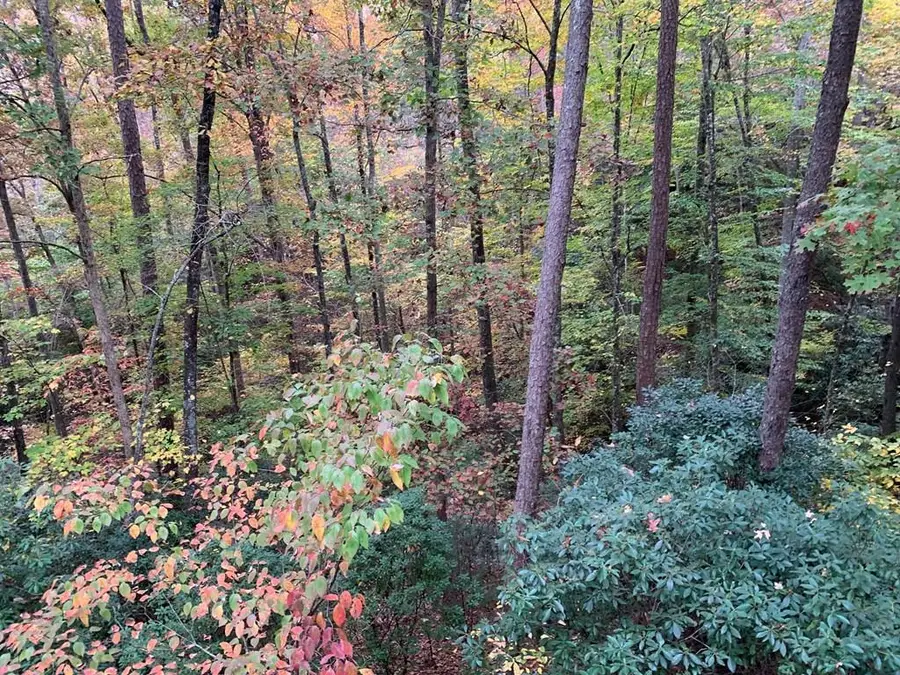 Lot #27 Laurel Lane, Nantahala, NC 28781 - #3