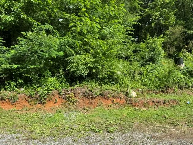 92 Benji Drive, Ellijay, GA 30540 - #1