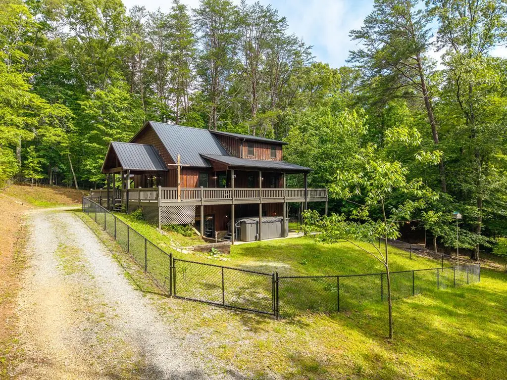 55 Hallee Drive, Mineral Bluff, GA 30559 - #1