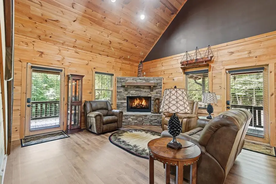 55 Hallee Drive, Mineral Bluff, GA 30559 - #3