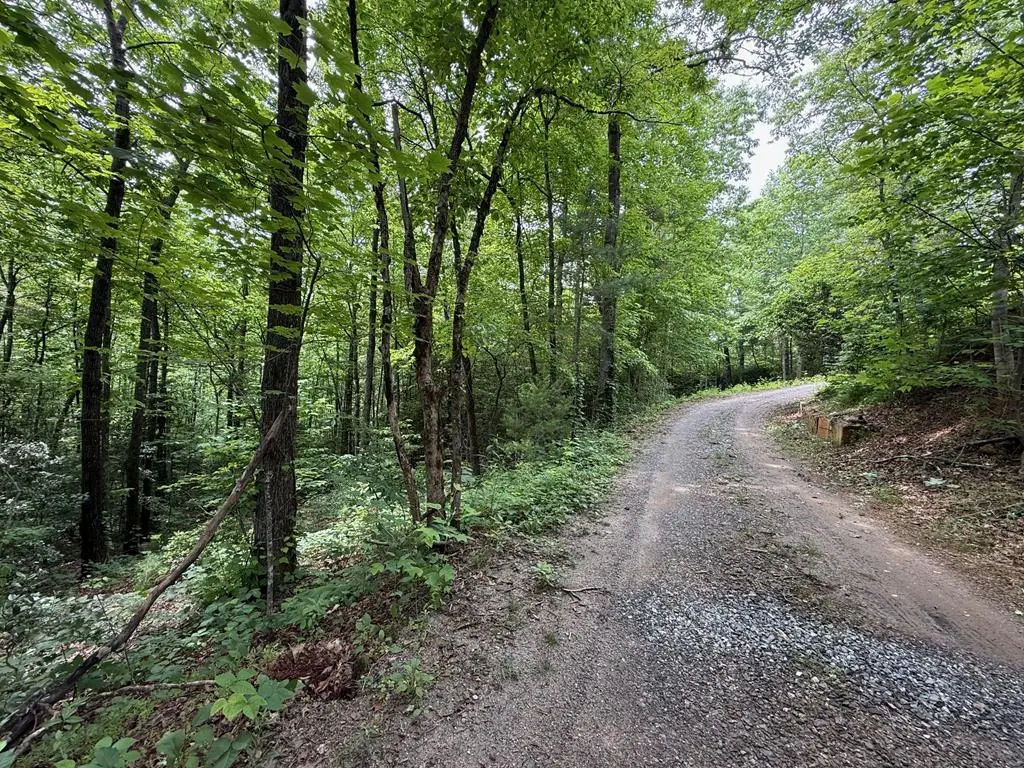 00 Mr Bert Road, Hiawassee, GA 30548 - #1