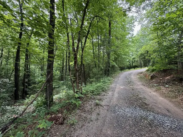 00 Mr Bert Road, Hiawassee, GA 30548