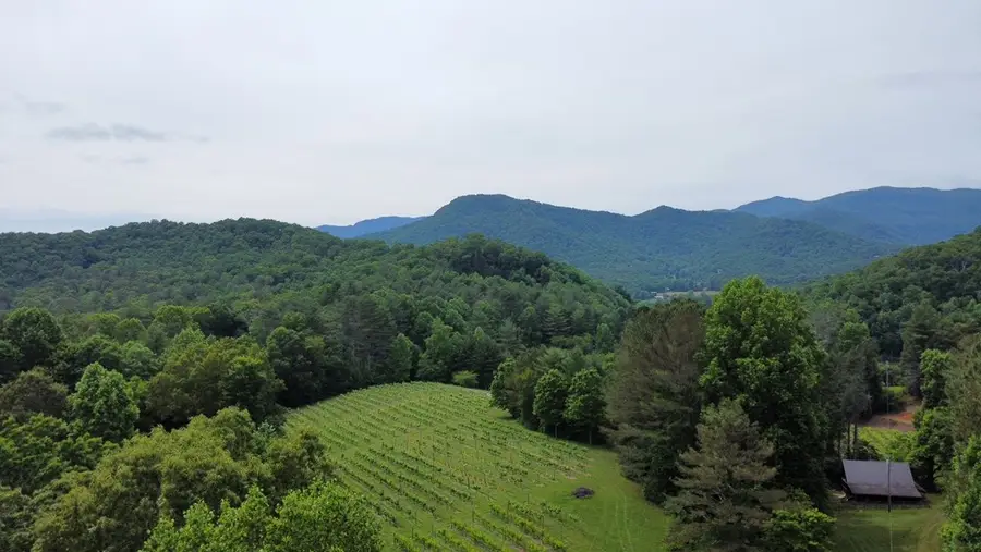 00 Mr Bert Road, Hiawassee, GA 30548 - #3