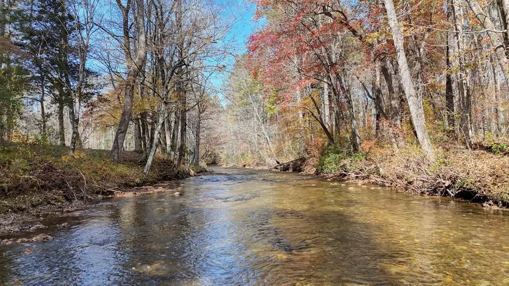 Lot 5 Big Pine Drive, Hiawassee, GA 30546 - #1