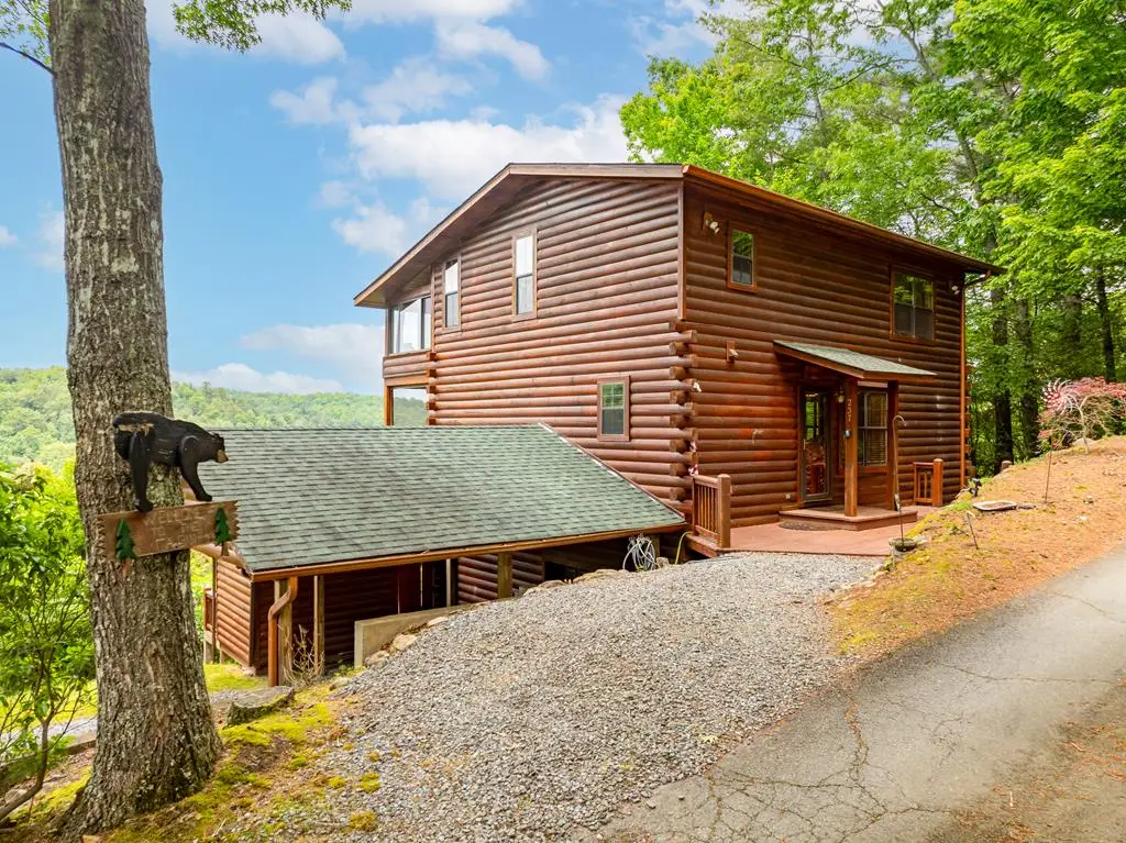 237 Dupont Drive, Blue Ridge, GA 30513 - #1