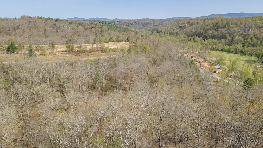 153 Hickory Way, Mineral Bluff, GA 30559 - #2
