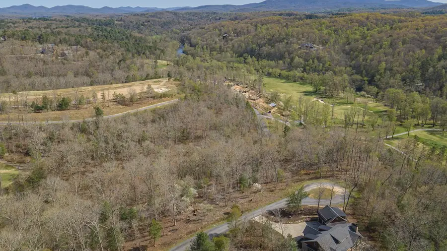 153 Hickory Way, Mineral Bluff, GA 30559 - #3